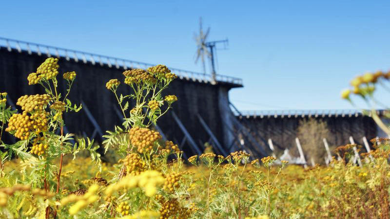 Tężnie solankowe – zdrowotny skarb, nie zagrożenie!